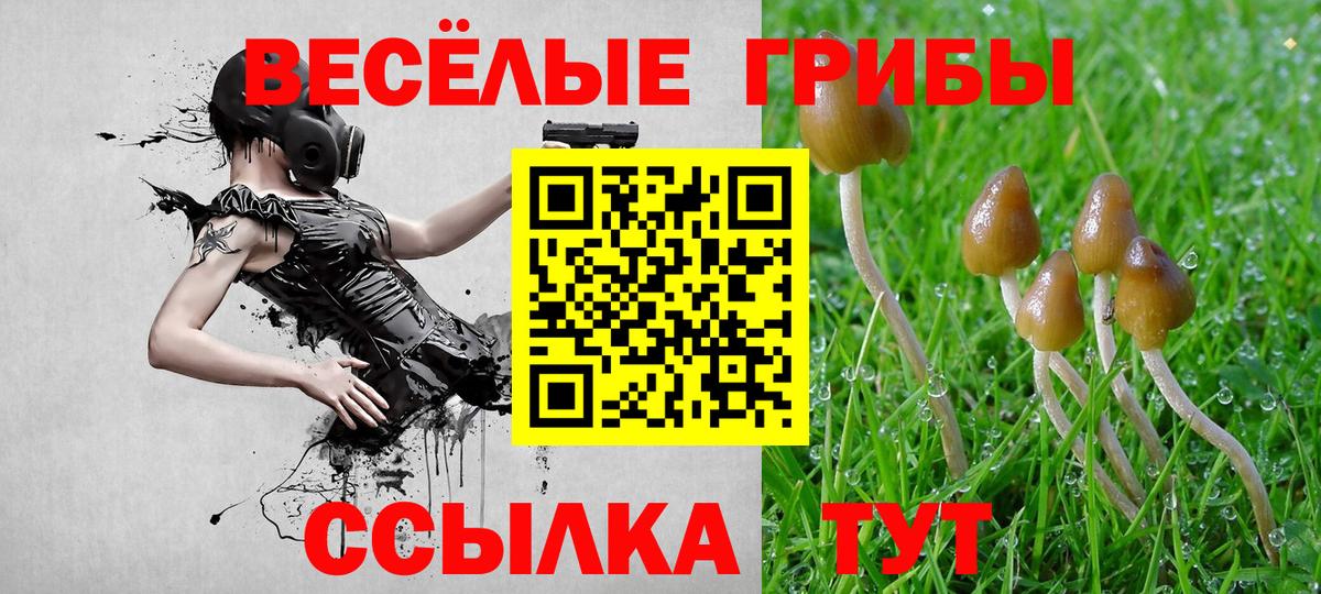 Галлюциногенные грибы MAGIC MUSHROOMS  Вход с VPN  Мичуринск 