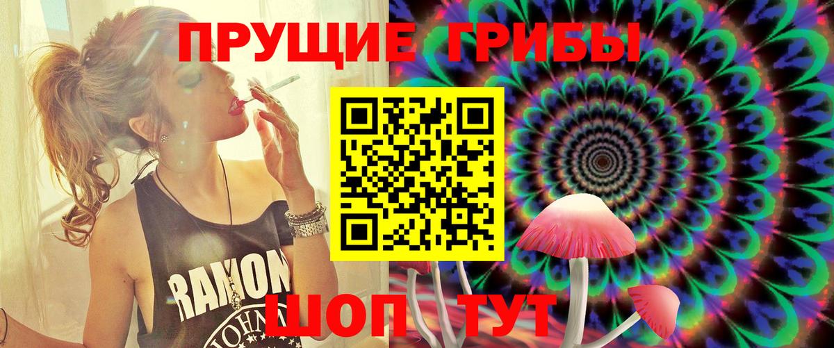 Псилоцибиновые грибы Psilocybe Мичуринск